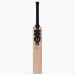 GM Noir Maestro Kashmir Willow Cricket Bat - MENS