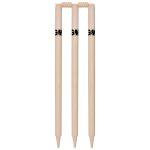 GM Bleached & Polished Cricket Stumps Set of 6 Stumps & 4 Bails (Box Packing)