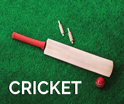 Cricket Accessories Online in India